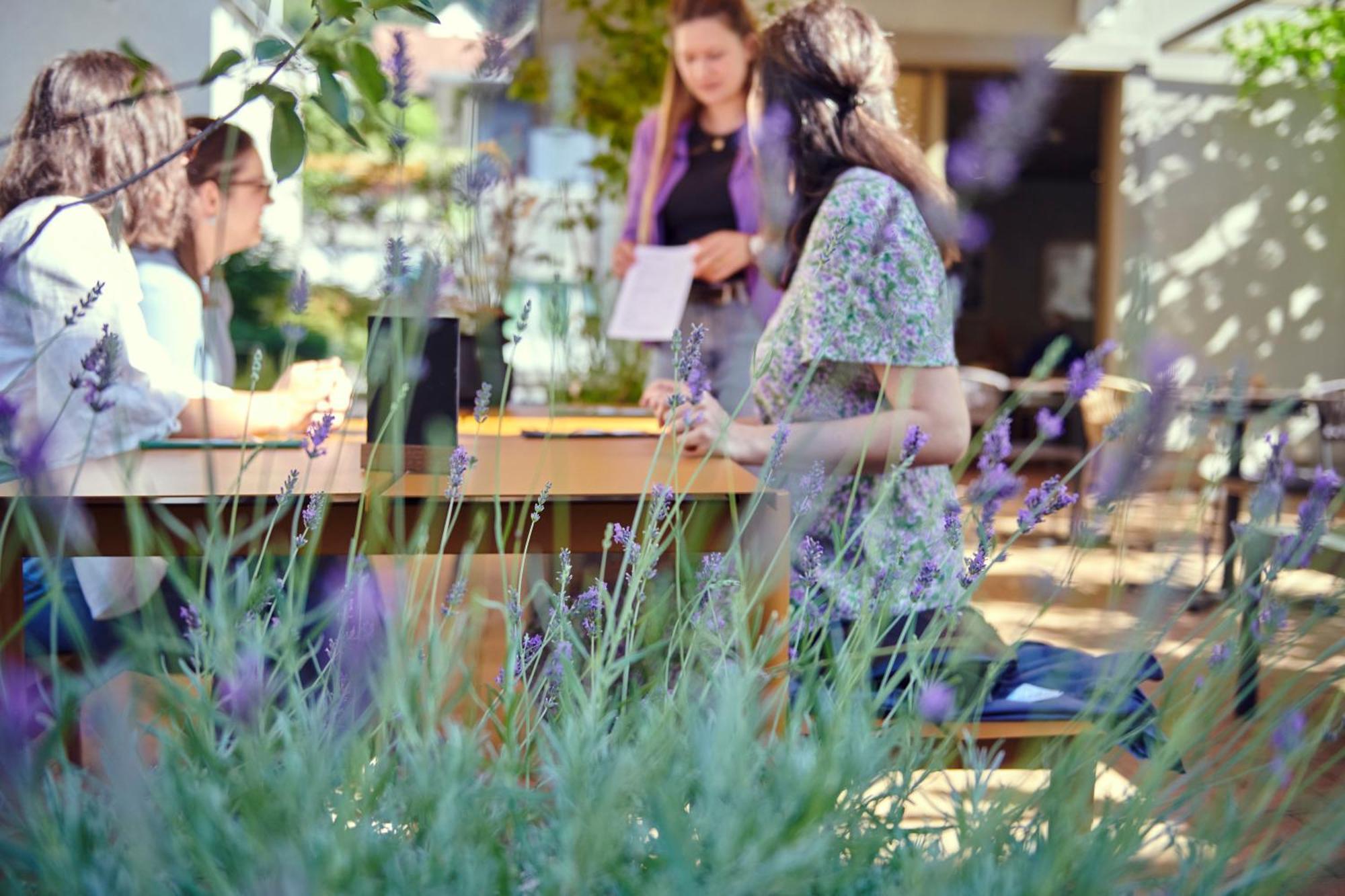 Hotel Balga Natur- Und Bikehotel Balgach Εξωτερικό φωτογραφία