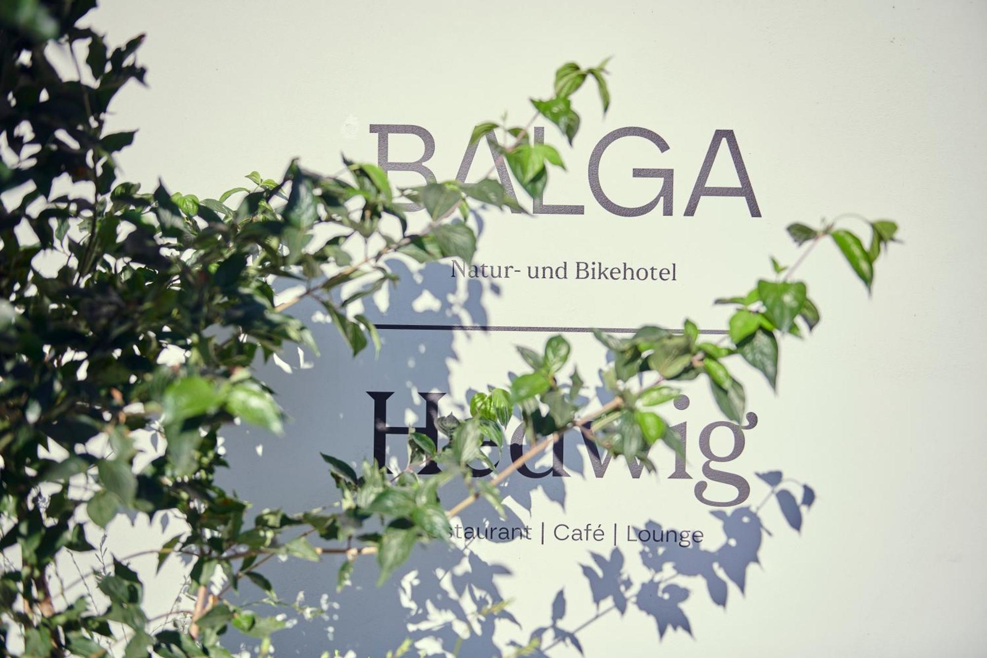 Hotel Balga Natur- Und Bikehotel Balgach Εξωτερικό φωτογραφία