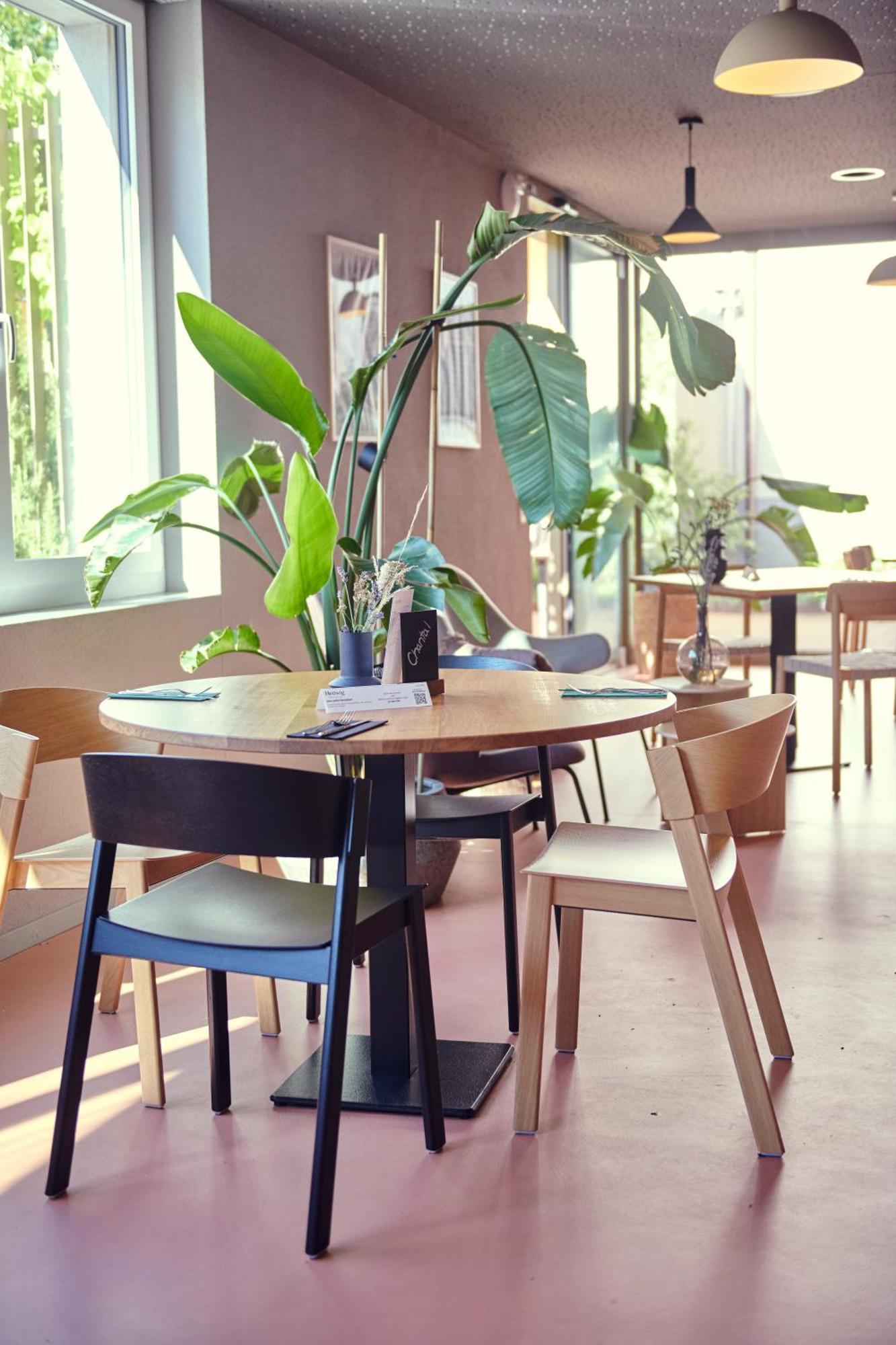 Hotel Balga Natur- Und Bikehotel Balgach Εξωτερικό φωτογραφία